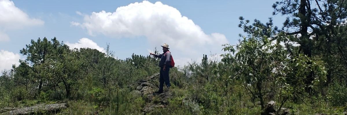 japoRadioactivo's profile banner image
