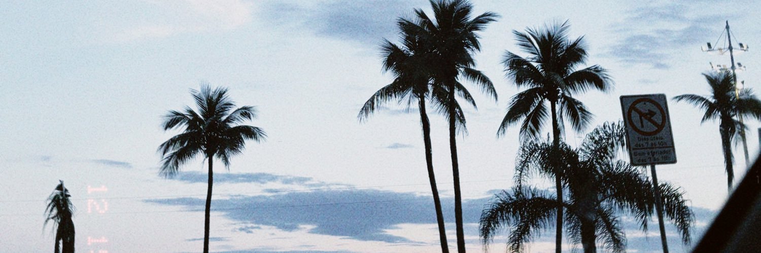 laarissap's profile banner image