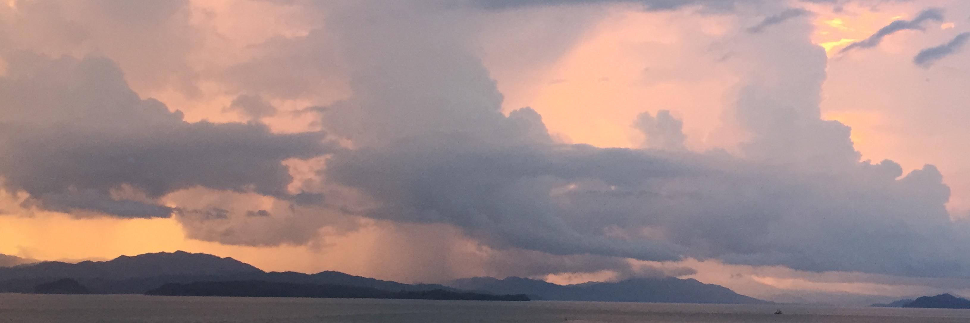 Randy Overbeck banner