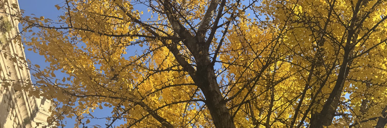 Mary Katherine Mize banner