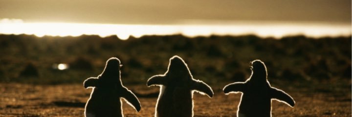 MoRitAaaaaaaa's profile banner image