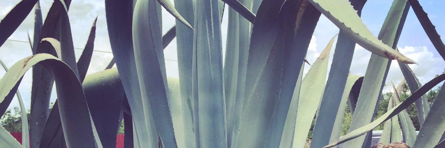 abbeybranch's profile banner image