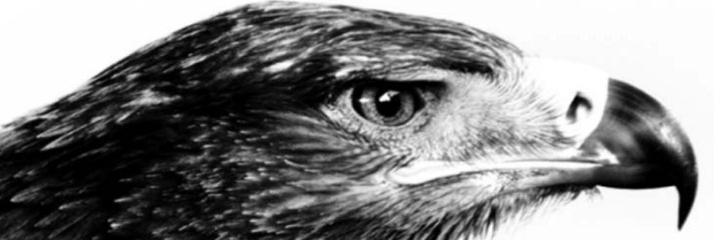 ZaqFinance's profile banner image