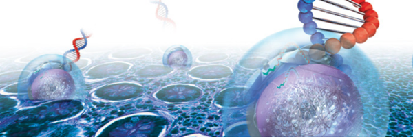 Excilone Profile Banner