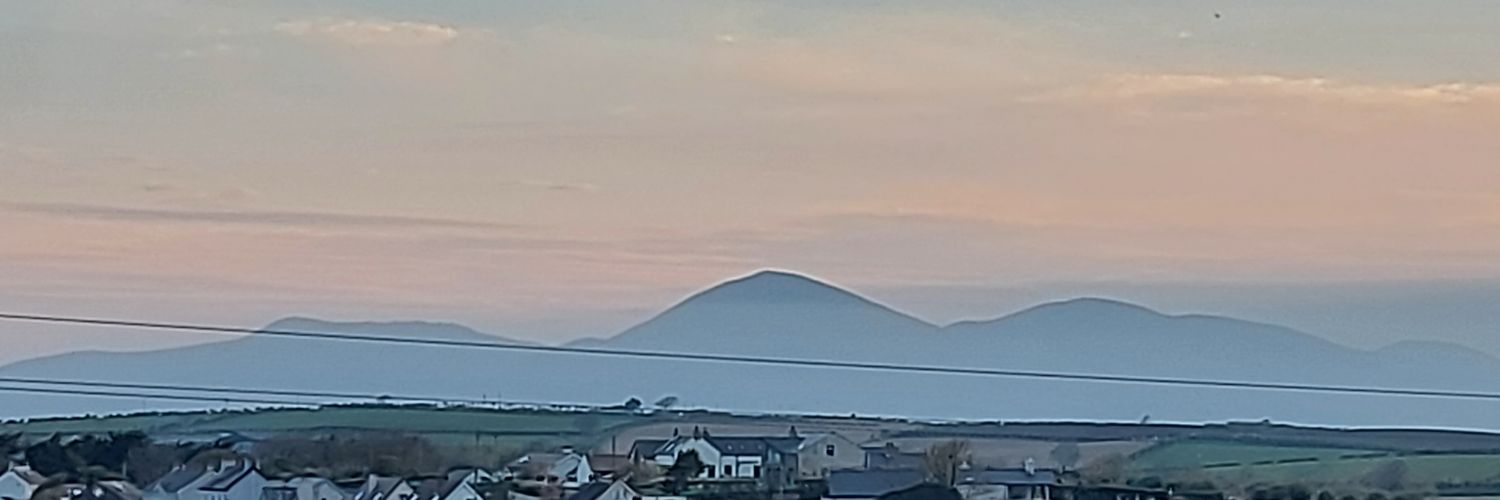 Dr Karen Wetherall banner