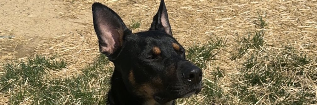 Caleb_Meyer2's profile banner image