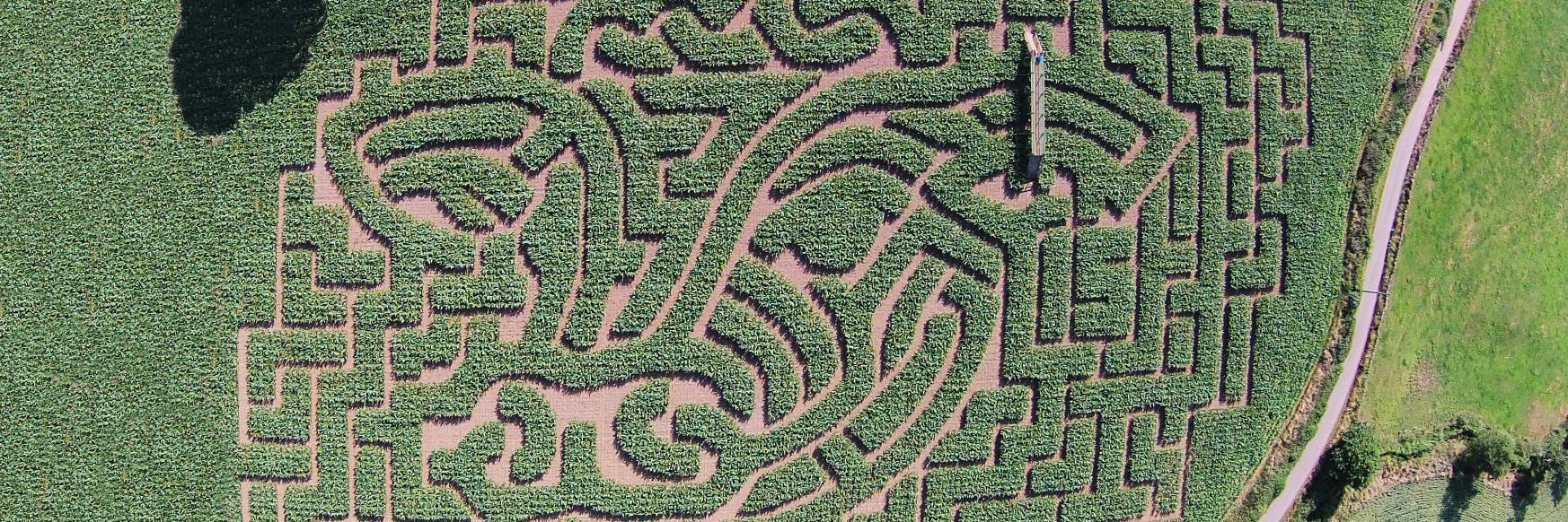 Cawthorne Maize Maze (@cawthornemaze) / Posts / X