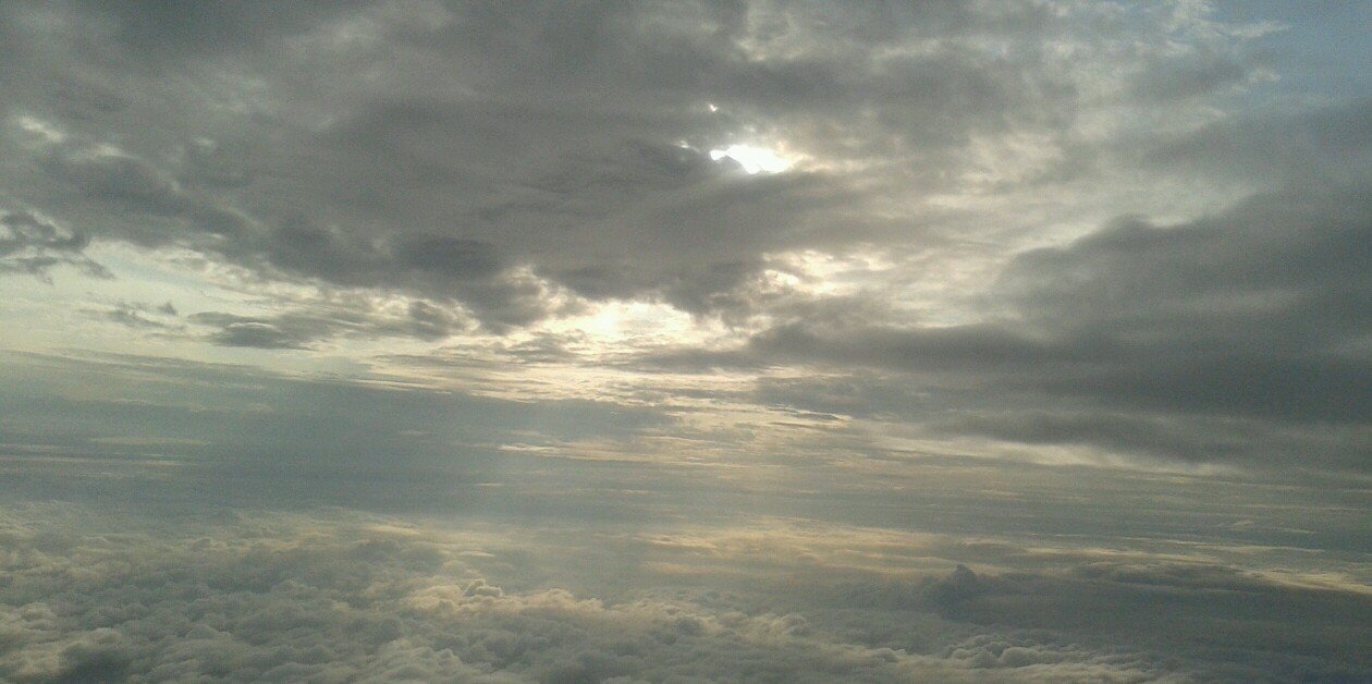 cochiloquilla's profile banner image