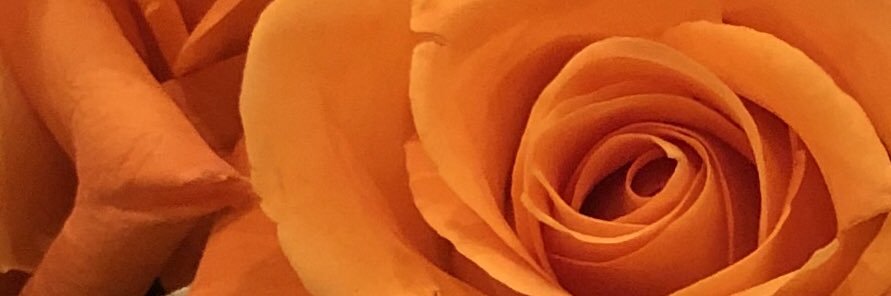 MegaHertz67's profile banner image