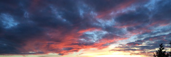 Kenny Mayne Profile Banner