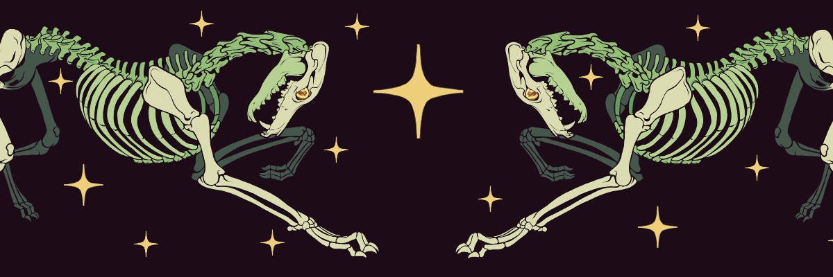KaiaPanito's profile banner image