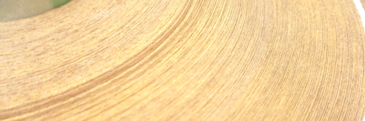 Teri Dankovich banner