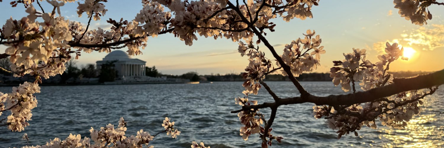 kbrounstein's profile banner image