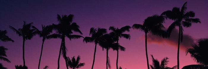 MaxineMcQueen's profile banner image