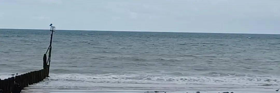 Ian Learmonth banner