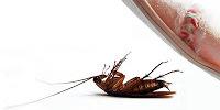 DrRetati's profile banner image