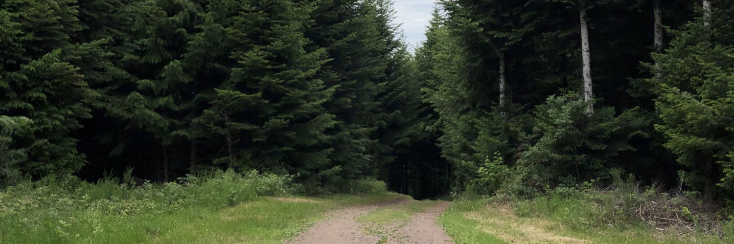 CaidsN's profile banner image