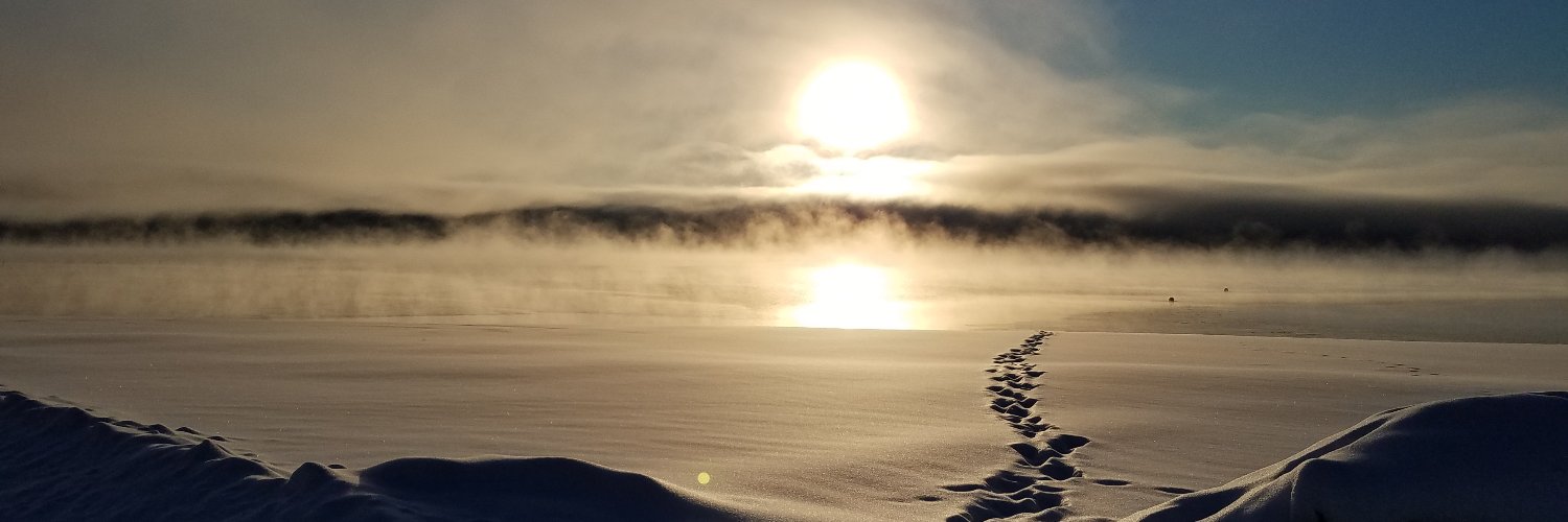 DigitalWarrior banner