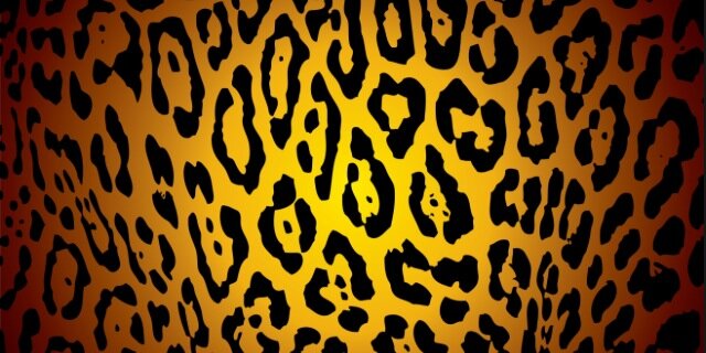 CoppellWyldLife's profile banner image