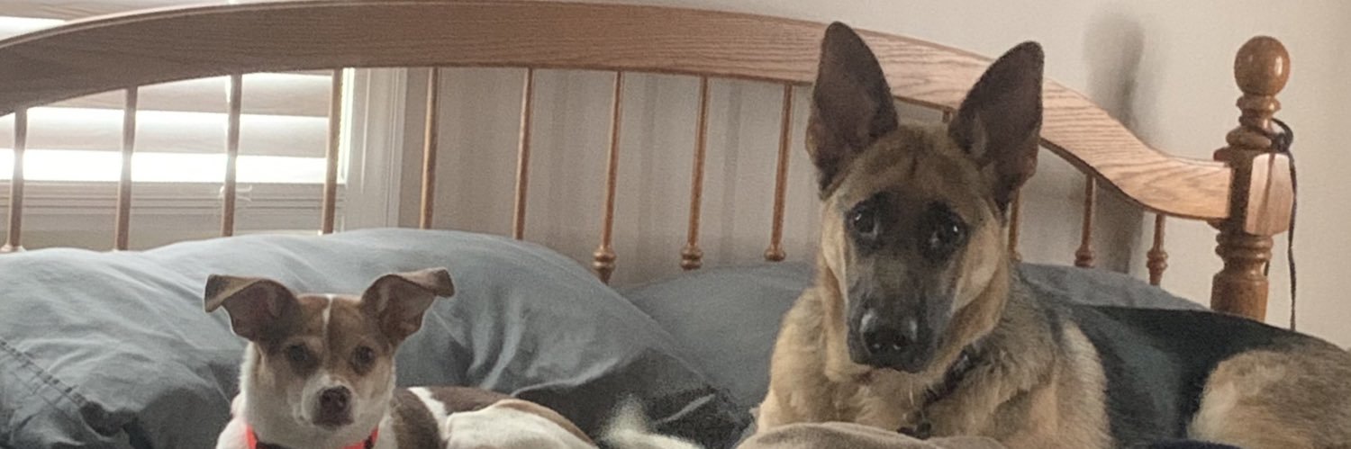 courtvill_'s profile banner image