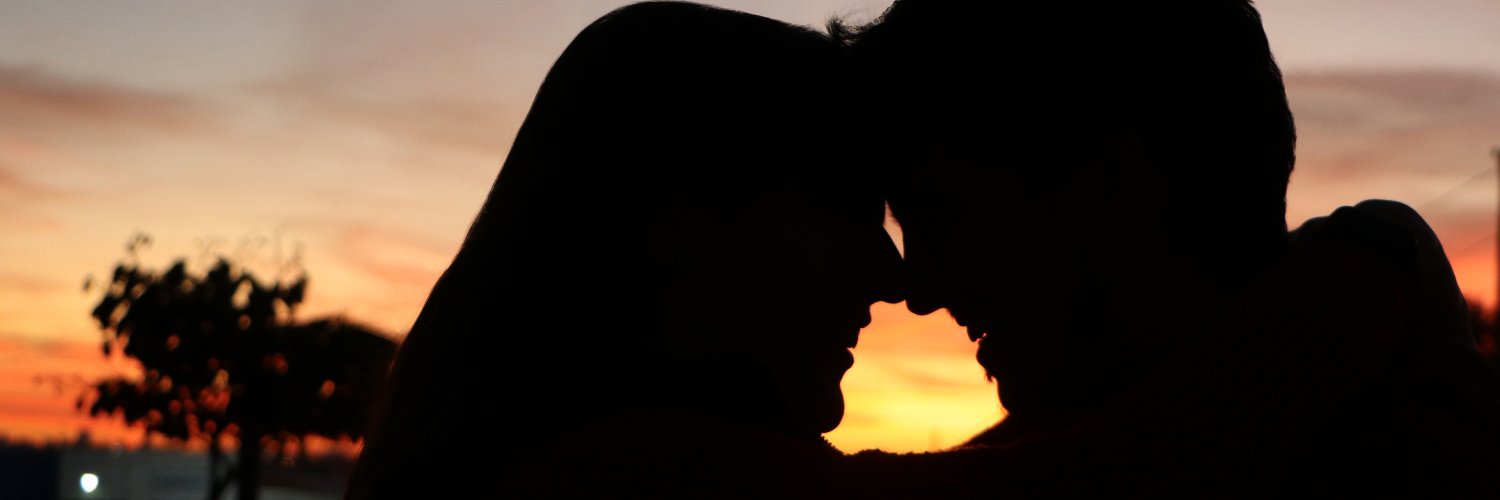 danicavazin's profile banner image
