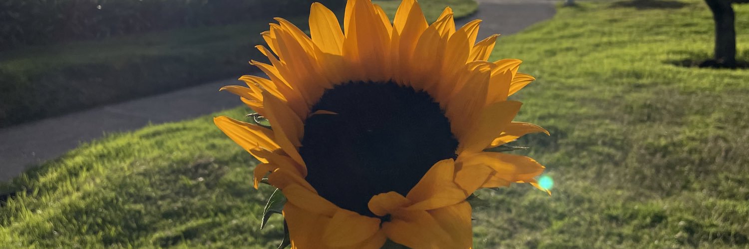 norazaral's profile banner image