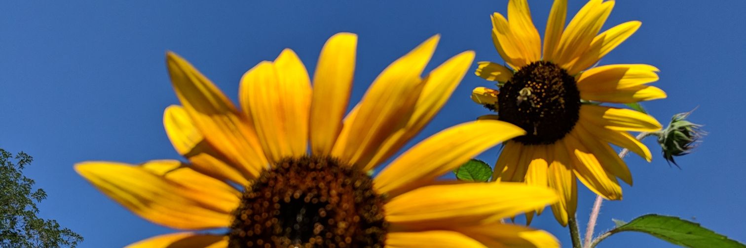 kimmicantrell's profile banner image