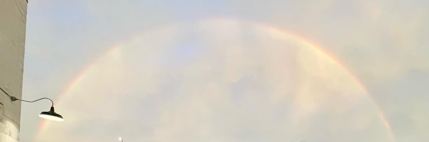 toreyburkhardt's profile banner image