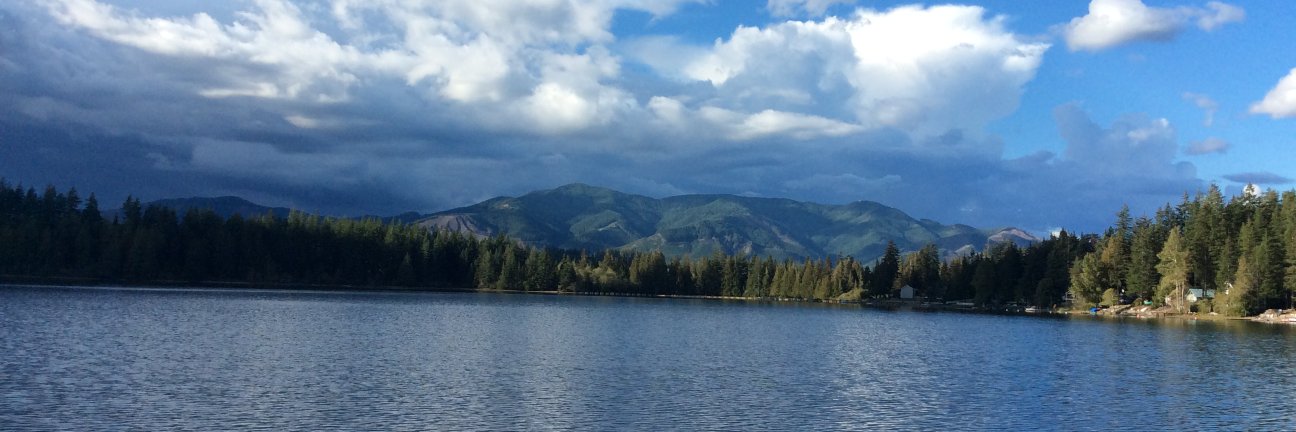 maggierobson's profile banner image