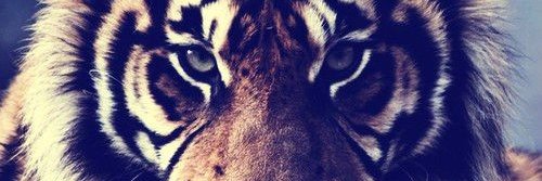 EmilioRodriguez's profile banner image