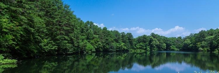 レガシィーン banner