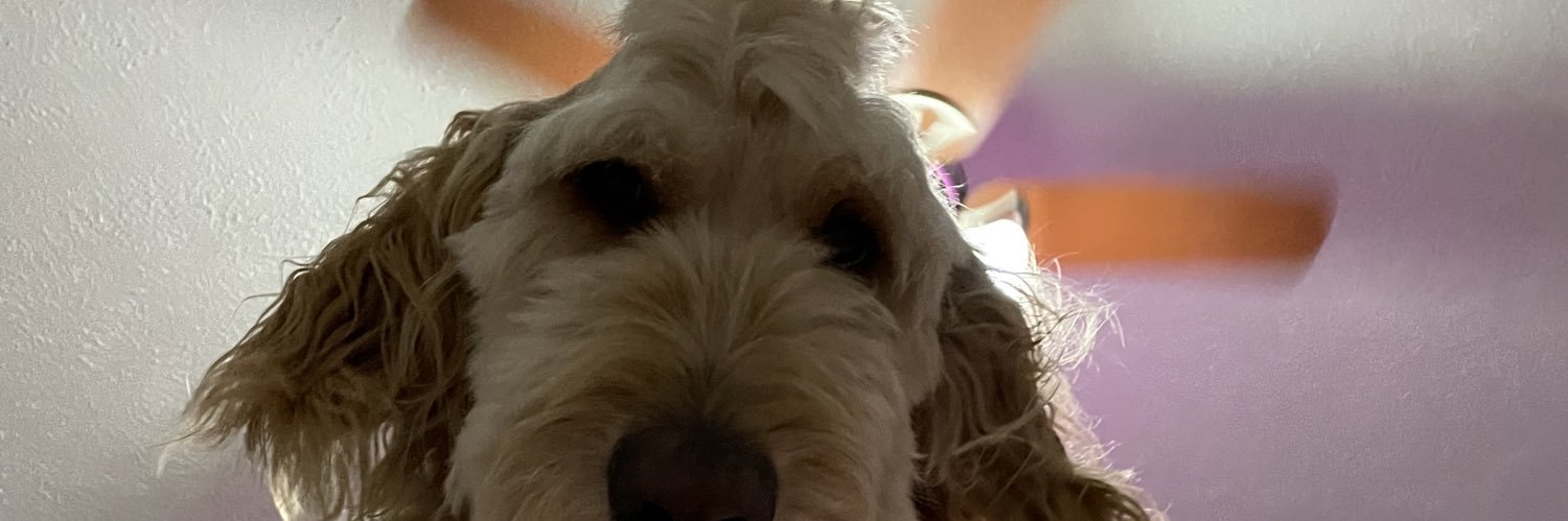 SavvBearden's profile banner image