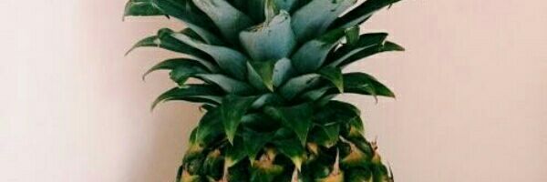 khaidiedericks's profile banner image