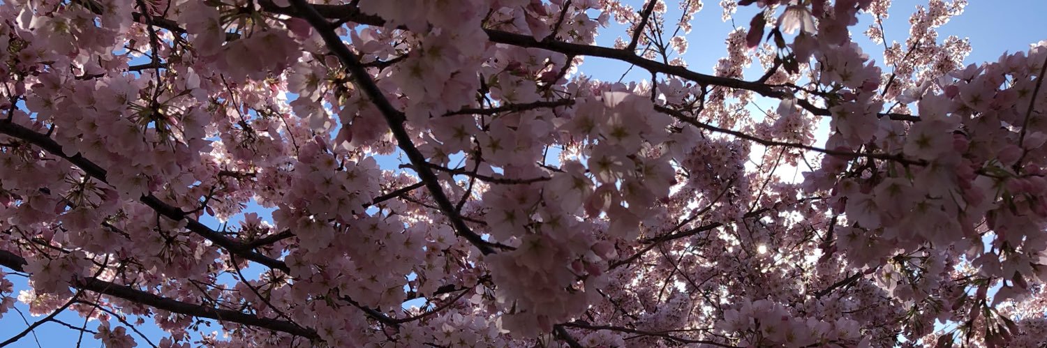 Rhiannon Root 🌱 banner