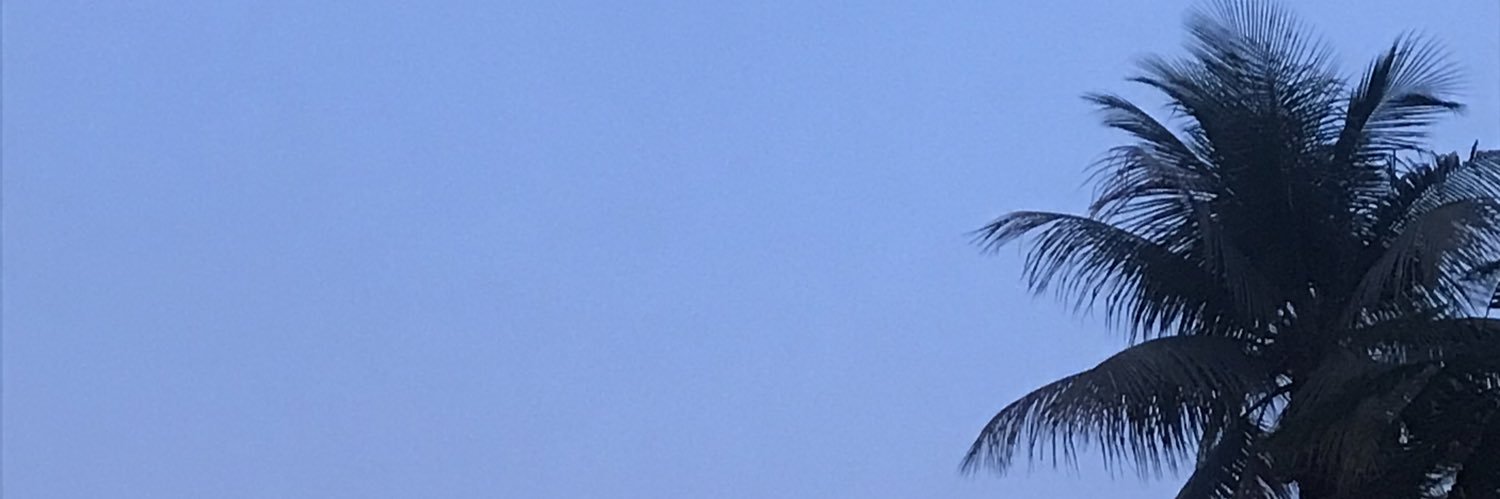 dxqdigam's profile banner image