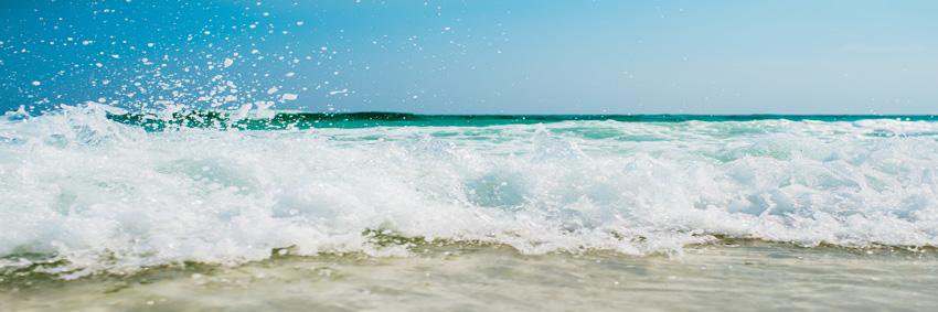 juniorproamint's profile banner image