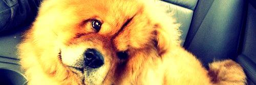 fermiBosquez's profile banner image
