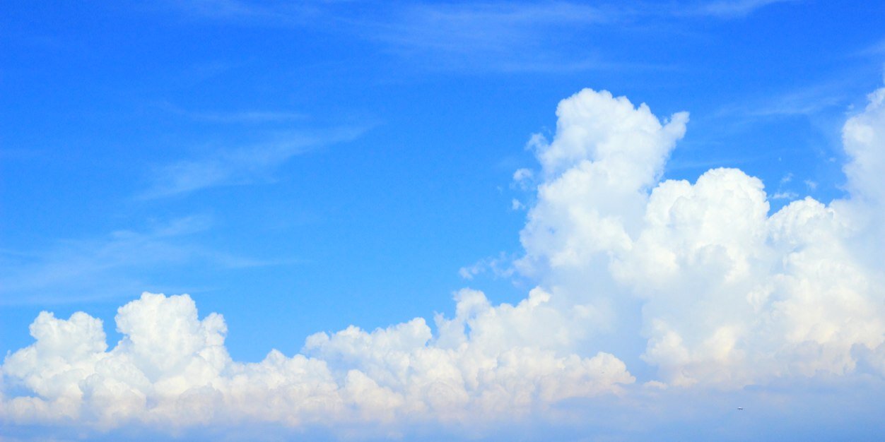 辰已法律研究所 banner