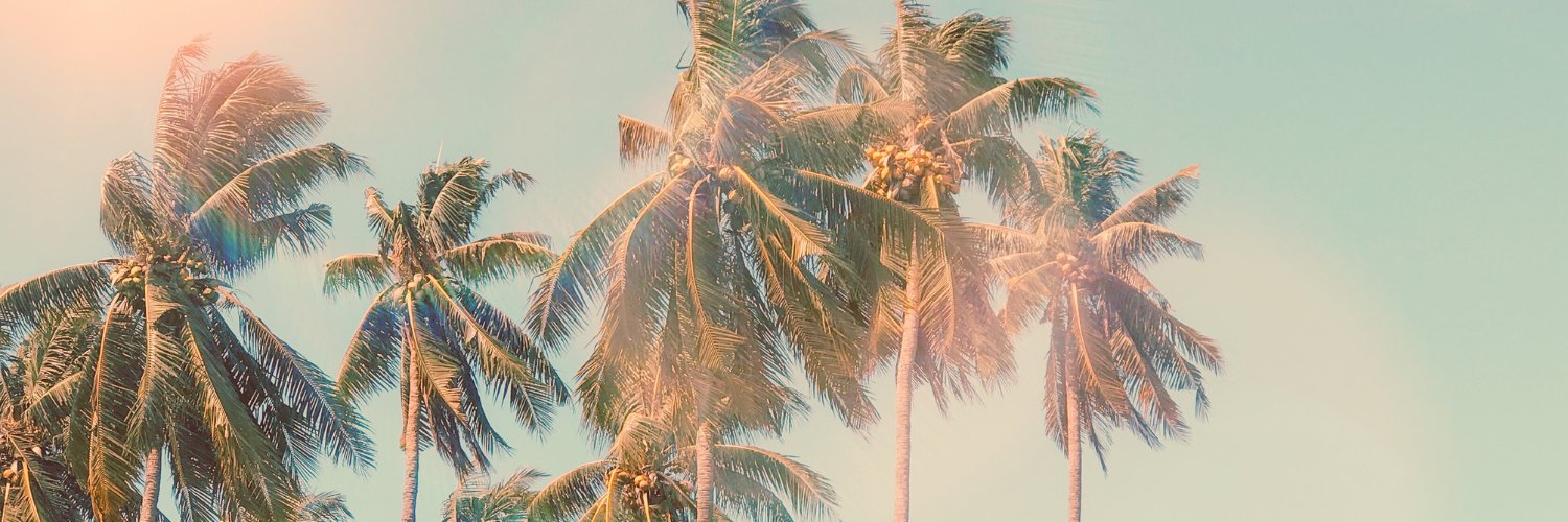 rachaellobeck's profile banner image
