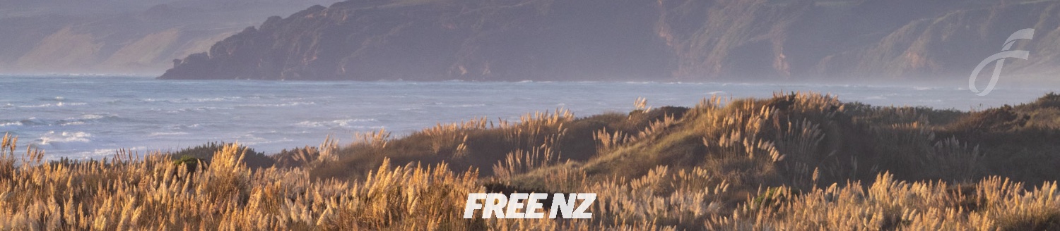 FreeNZ banner