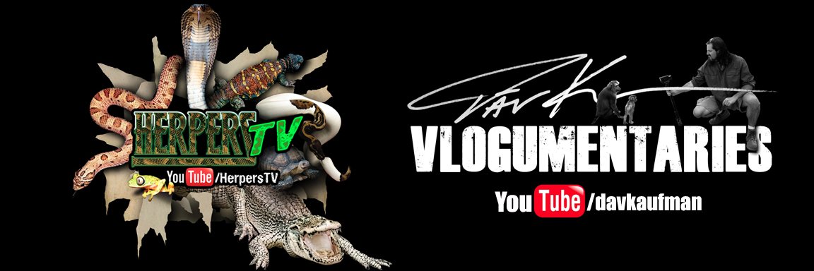 HerpersTV's profile banner image