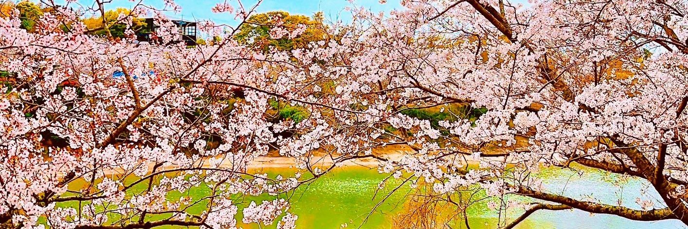 teruyo0901's profile banner image