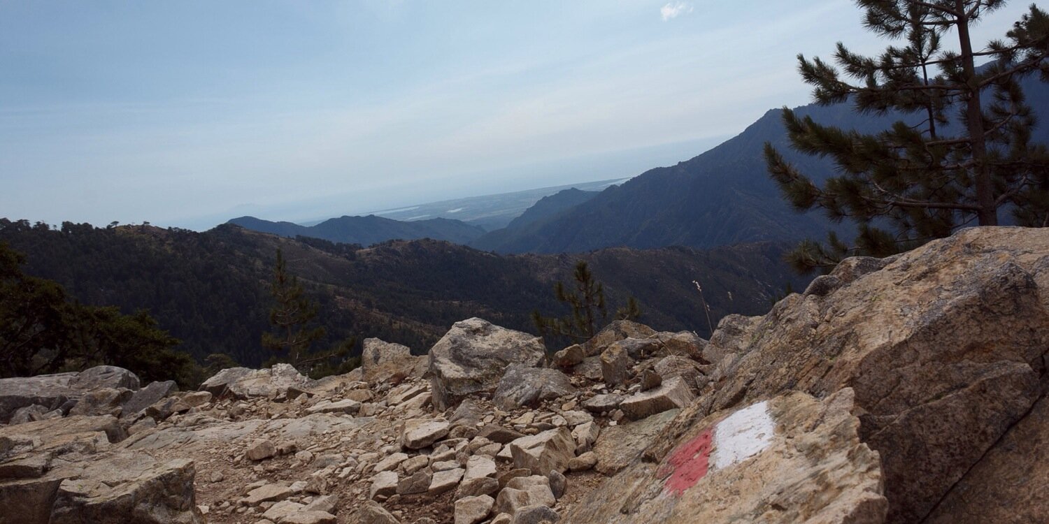 Franck Basile banner