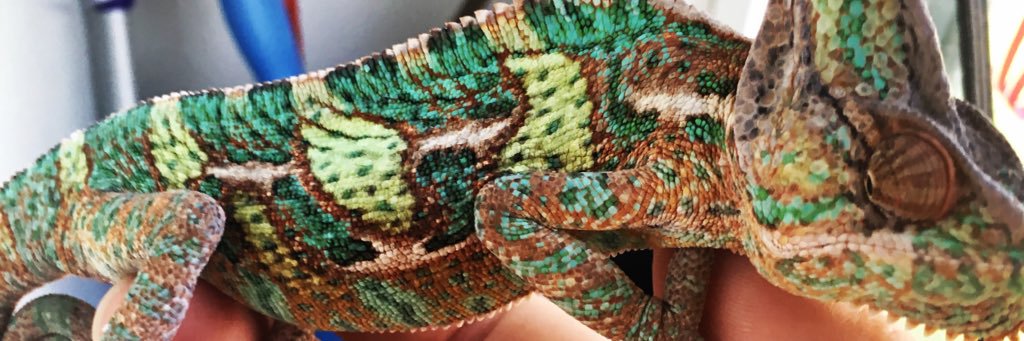 tomtab60's profile banner image