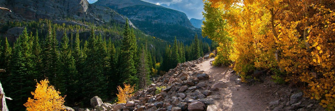 Chloe M. Fowler 📚 banner