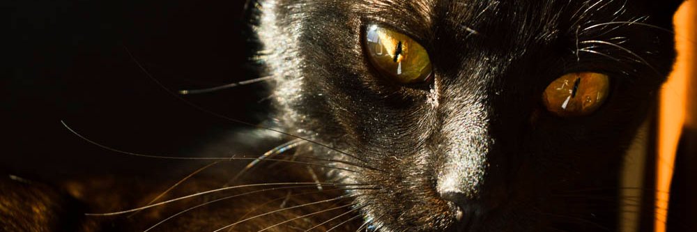 Hèctor Badenes banner