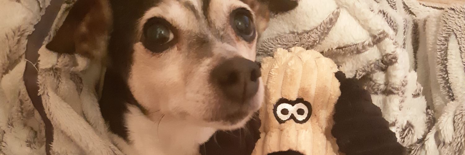 EllieRSmith1's profile banner image