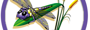 Amy Creed banner