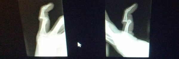 Jlstein19 Profile Banner