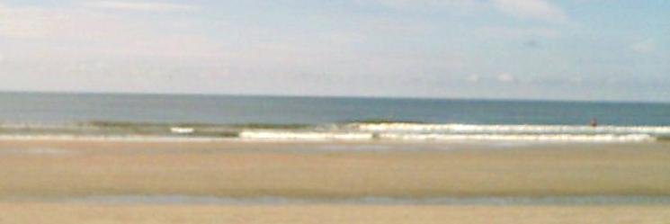 Dr. Arlene Bakutes banner